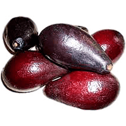 Palta Negra de La Cruz Malla 1 kg