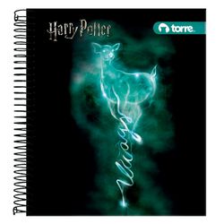 Cuaderno Book Harry Potter 7 mm 150 Hojas