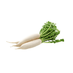 Rábano Blanco 1 un.