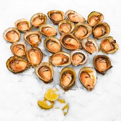 Bandeja Ostras Corrientes 20 un.