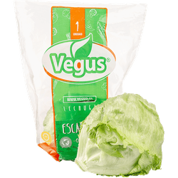 Lechuga Vegus Escarola Orgánica 1 un.