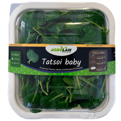Tatsoi Baby Agrolam Bandeja 120 g