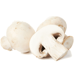 Champiñón Royal Granel