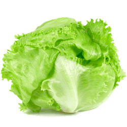 Lechuga Escarola Feria 1 un.