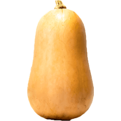 Zapallo Butternut 1 un.
