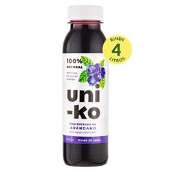 Concentrado Fruta Uni-Ko Arándano 300 ml