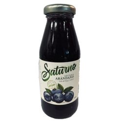 Jugo Saturno Arándano 250 cc