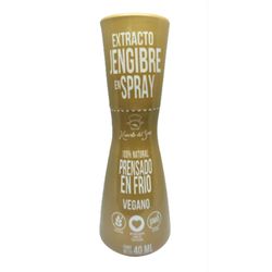 Jengibre Spray Huerto del Sur 40 ml
