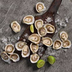 Bandeja Ostras Semi Export 20 un.