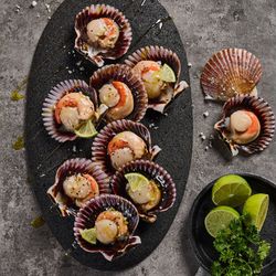 Bandeja Ostiones Frescos 10 un.