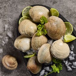 Almejas Corrientes Fresca kg