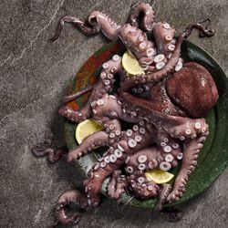 Pulpo Entero kg