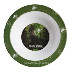 Bowl de Melamina Jurassic J