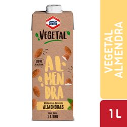 Bebida Vegetal Loncoleche Almendra 1 L