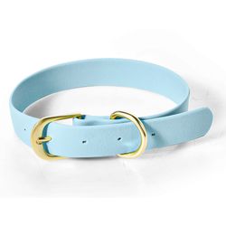 Collar para Perro PVC Celeste Talla L
