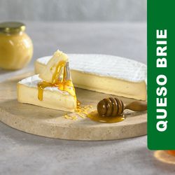 Queso brie granel