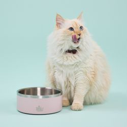 Plato de Acero Inoxidable Pro Rosa 1150 ml