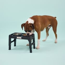 Plato Doble Alto con Altura Ajustable 1.4 lt Pro