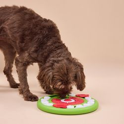 Puzzle Interactivo para Treats Disco