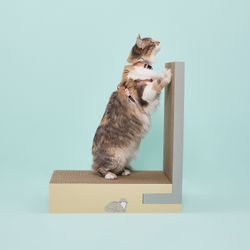 Rascador Armable Múltiple