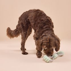 Juguete de Cuerda Elástico con Dos Manillas