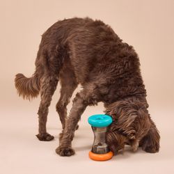 Juguete Rodador para Treats Pro