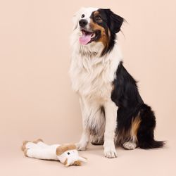 Juguete Peluche con Cuerda Strong Vaca Pro