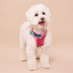 Arnés Pro Mariposa con Flores Talla S