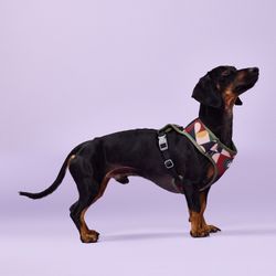 Arnés Pro Mariposa con Semicírculos Talla S