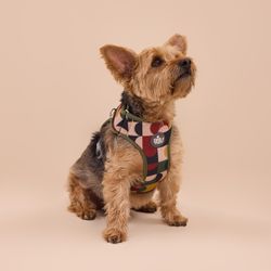 Arnés Pro Mariposa con Semicírculos Talla M