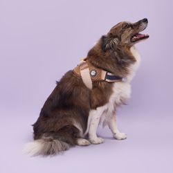 Arnés Pro Reflectante Café Talla L