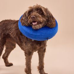 Collar Isabelino Talla M