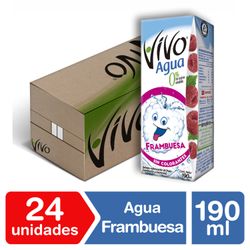 Caja 24 un. Agua Saborizada Vivo Frambuesa 190 ml