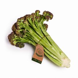 Brócolini Púrpura 1 un.