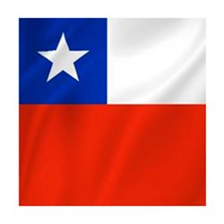 Servilletas Fiestas Patrias 33 x 33 cm 20 un. (Surtido)