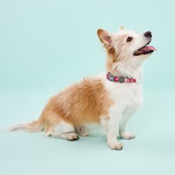 Arnés Pro de Poliéster con Flores Talla M