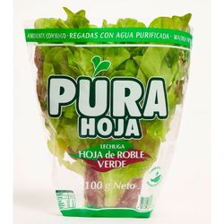 Lechuga Roble Verde Hidropónica 1 un.