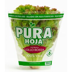 Lechuga Lollo Rossa Hidropónica 1 un.