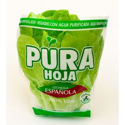 Lechuga Hidropónica Española 1 un.