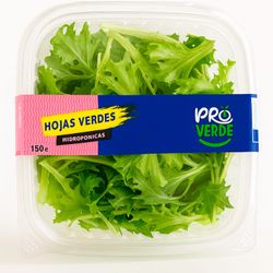 Hojas Verdes