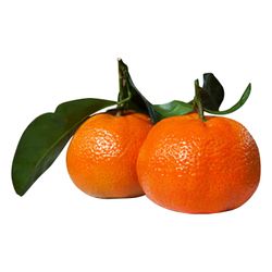 Mandarina Granel Importada