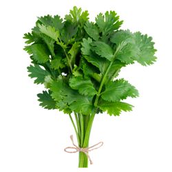 Cilantro Paquete 120 g