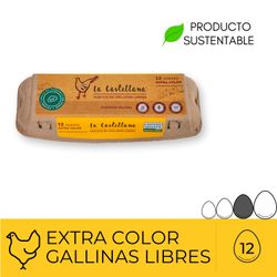 Huevos La Castellana Color Gallina Libre 12 un.