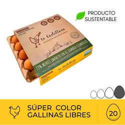 Huevos La Castellana Color Gallina Libre 20 un.