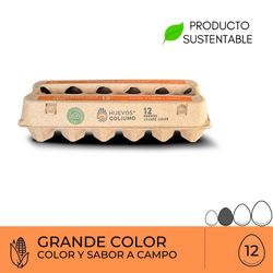 Huevos Coliumo Premium Grandes Color 12 un.