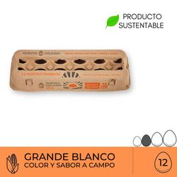 Huevos Coliumo Premium Grandes Blancos 12 un.