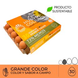 Huevos Coliumo Premium Grandes Color 30 un.