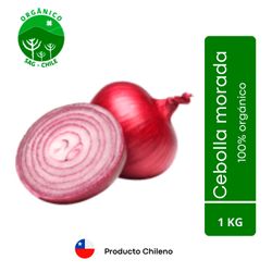 Cebolla Morada Orgánica Malla 1 kg