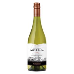 Vino Castillo de Molina Sauvignon Blanc 750 cc