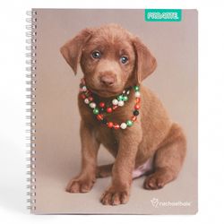 Cuaderno Universitario Adorable 7 mm 100 Hojas